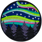 The Aurora Borealis lights up the night sky above a dark tree line.