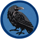 A black raven on a blue background.
