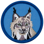 A forward-facing lynx on a blue background.