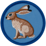 A brown jack rabbit on a blue background.