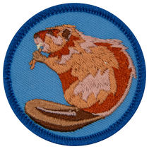 Beaver