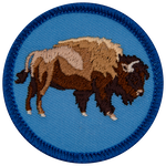 A majestic bison.