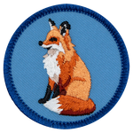 An orange fox sitting on a blue background. 