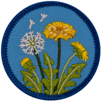 Dandelion (Iron-On)