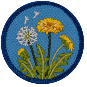 Dandelion (Iron-On)