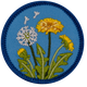 E1520