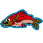 A solitary sockeye salmon outlined in blue.