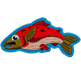 A solitary sockeye salmon outlined in blue.