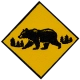 Bear Aware (Iron-On)