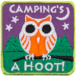 An orange and white owl sits on a branch in front of a forested hill. The words Camping's A Hoot are above and below.