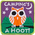 An orange and white owl sits on a branch in front of a forested hill. The words Camping's A Hoot are above and below.