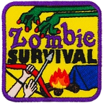 A Zombie's arms reach towards a camper. Between them is the text Zombie Survival.