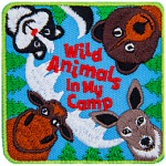 The words Wild Animals In My Camp are surrounded by a moose, deer, bear and skunk looking down at the viewer as if they are on the ground.