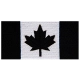 ECF1005