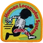 A running silhouette showcases the Human Locomotor System with bone and muscle displayed.