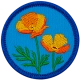 E1334