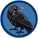 A black raven on a blue background.