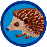 A brown hedgehog is on a blue patch.