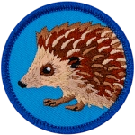 A brown hedgehog is on a blue patch.