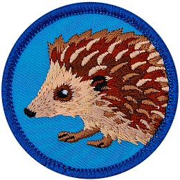 A brown hedgehog is on a blue patch.