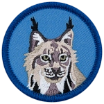 A forward-facing lynx on a blue background.