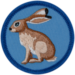 A brown jack rabbit on a blue background.