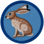 A brown jack rabbit on a blue background.