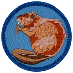 The side profile of a beaver.