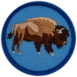 A majestic bison.
