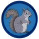Squirrel (Iron-On)