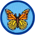 A red and yellow butterfly on a blue background.
