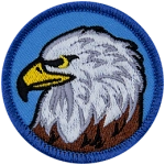 An eagle bust on a blue background.