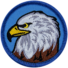 An eagle bust on a blue background.