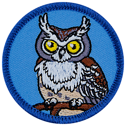 A horned owl on a blue background.