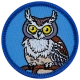 Owl (Iron-On)