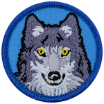 A grey wolf head on a blue background.