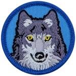 A grey wolf head on a blue background.