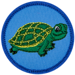 A green turtle on a blue background.