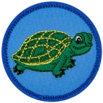 A green turtle on a blue background.