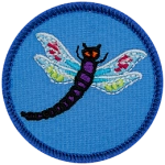 A purple dragonfly with green and red patterned white wings on a blue background.