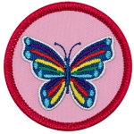 A rainbow butterfly on a pink background.