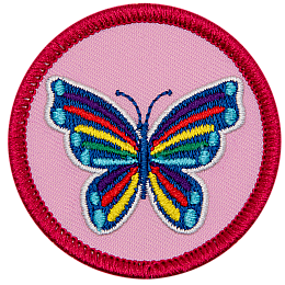 A rainbow butterfly on a pink background.
