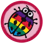 A rainbow-striped ladybug.