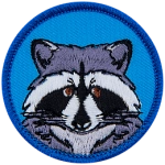 A forward-facing raccoon on a blue background.