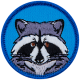 Raccoon (Iron-On)