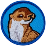 An otter facing towards the right on a blue background.