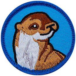 An otter facing towards the right on a blue background.