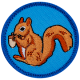 Squirrel (Iron-On)