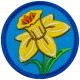 Daffodil (Iron-On)