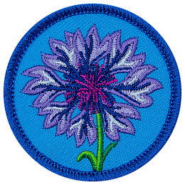 A purple cornflower is in the centre of a blue, circular patch.